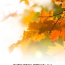 매직뉴스 이미지