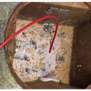 신평 경로당 이미지