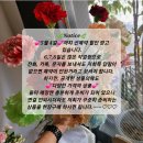 선꽃집