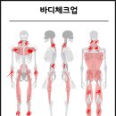 용산구 시민건강관리센터 | [용산 재활센터, 재활프로그램, 재활후기] 운동으로 흉곽출구증후군 개선사례