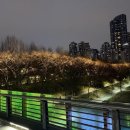 양재천 수변무대4 이미지