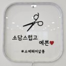 소담스럽고 예쁜 이미지
