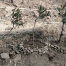 나만의 한평 정원 가꾸기 이미지