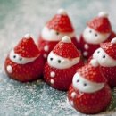 깐돌이네 애견미용호텔 이미지