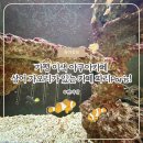 가오리떡볶이 | 아이랑 가평 가볼만한 곳, 상어 가오리 카페 파리 Paris 다녀왔어요