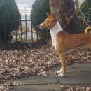 제나스테이 이미지