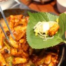 조가네갑오징어 이미지