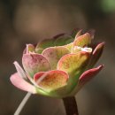 독서논술지도사 기본과정 이미지