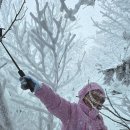 중원터널 전광판(하행) | 무주 덕유산 리조트 곤돌라 예약 이용시간