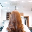 마고헤어 이미지