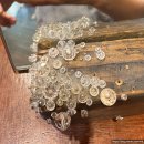 라시트포(LACITPO) | 분당 정자동 멋진 안경샵 | 라시트포 인디고 아빠 안경 구매 후기