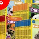 키즈영어서점