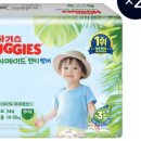 드라이21 이미지