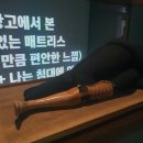 작은나무예술가(소품분재) | 호암미술관<루이즈 부르주아>전시 관람 후기 feat.송파구 예술가의 다락방 새로 오신 강사님