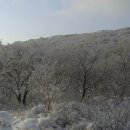 1월 13일 (수)[ 07:00 출발] 전남 광주 국립공원 무등산(해발1,187m) 새인봉 눈꽃산행 이미지