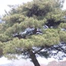 제천농장 이미지