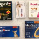 이담약국 이미지