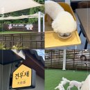 견우재 | 대전 애견카페 운동장 견우재 강아지죽 수제 케이크 및 간식 판매 사람음식은?