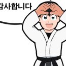 퍼펙트태권도 이미지