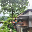 [충주 노은면 카페] 옹달샘스테이 카페옹달샘 누가와서 먹나요