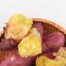 휘트니스A 이미지