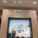 [W11] 대구 신세계 IWC 예물 시계 구매 후기(3월 가격 인상, 웨딩멤버십, 꿀팁)