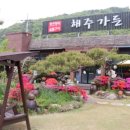 선운공원1 | ⛳️ 골프존카운티 선운CC 라운딩 후기 &amp; 해주가든 장어 맛집 방문기 🏌️‍♂️🍽️