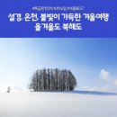 훗카이도 삿포로 3박 4일 노랑풍선 패키지 숙소, 식사, 관광지 총정리 후기