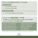 [2024년11월] Strain Counterstrain Course 개최 안내 이미지