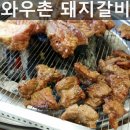 와우촌 | 원주 와우촌 돼지갈비 맛이...ㅠㅠ