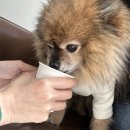 카페네이비 이미지