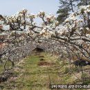 백옥동농장 네이버블로그