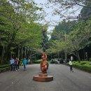 절물 | 제주 절물자연휴양림 비오는날 절물오름까지 올라간 후기