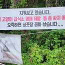 햇님달님문구 티스토리