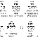 아도나이헤어