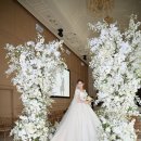 사이언스헤븐 이미지