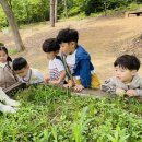 숲속리더유치원 이미지