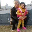 김양수「매미」 이미지