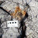 진주 유수리 백악기 화석산지 이미지