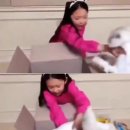 구사 이미지