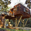 트리하우스 이미지