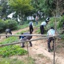 초롱꽃공원 이미지