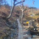 이상농장 이미지