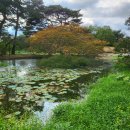조선의 아름다운 선비들 이미지