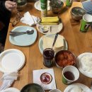 [몽골 🇲🇳 250327-250403] 3일차 홍고링엘스/모래썰매/낙타체험