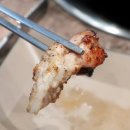 방이동 먹자골목 고기 맛집 한국계 닭 특수부위 구이