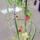 드림플라워 - 의정부시 장곡로596번길 16 | 드림플라워