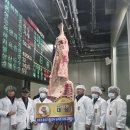 홍성한우 이미지