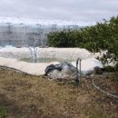 남원읍-54 이미지