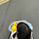 똘똘이비디오 | CGV창원더시티 _ 뽀로로극장판 스위트캐슬 대모험 아이와 영화관람 경품 캘린더포스터